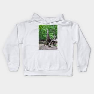 Hollow Broken Tree Photographic Image Kids Hoodie